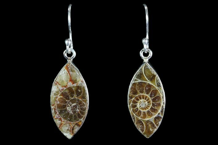 Fossil Ammonite Earrings - Sterling Silver #82259